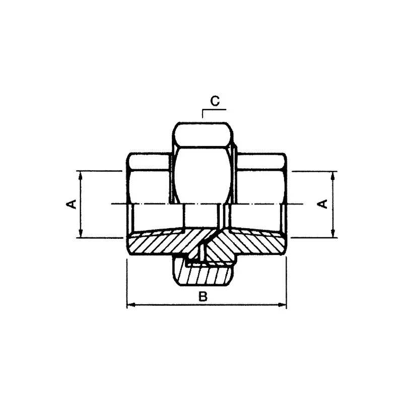 Union fitting 3000 LBS Female female NPT thread SOFRA INOX