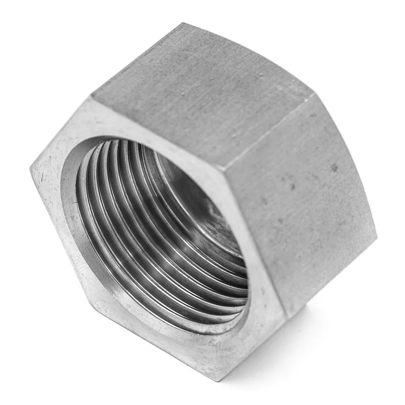 Female hexagonal plug - gas thread - stainless steel 316L - EN 10272 - SOFRA-INOX