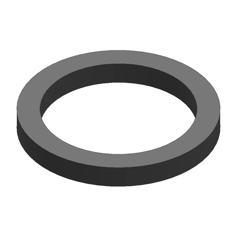 ISO standard EPDM gasket for aseptic fitting 4 pieces - SOFRA-INOX