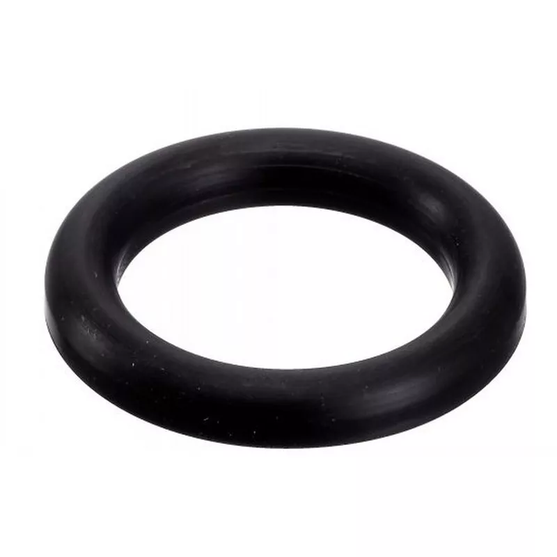 DIN 11851 black EPDM gasket - SOFRA INOX