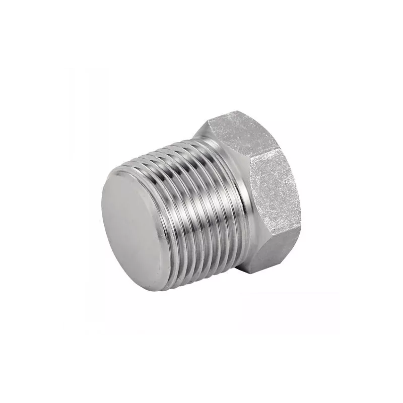 Male Hex Head Cap NPT - 316L - Piping accessory 3000 Series LBS - SOFRA-INOX