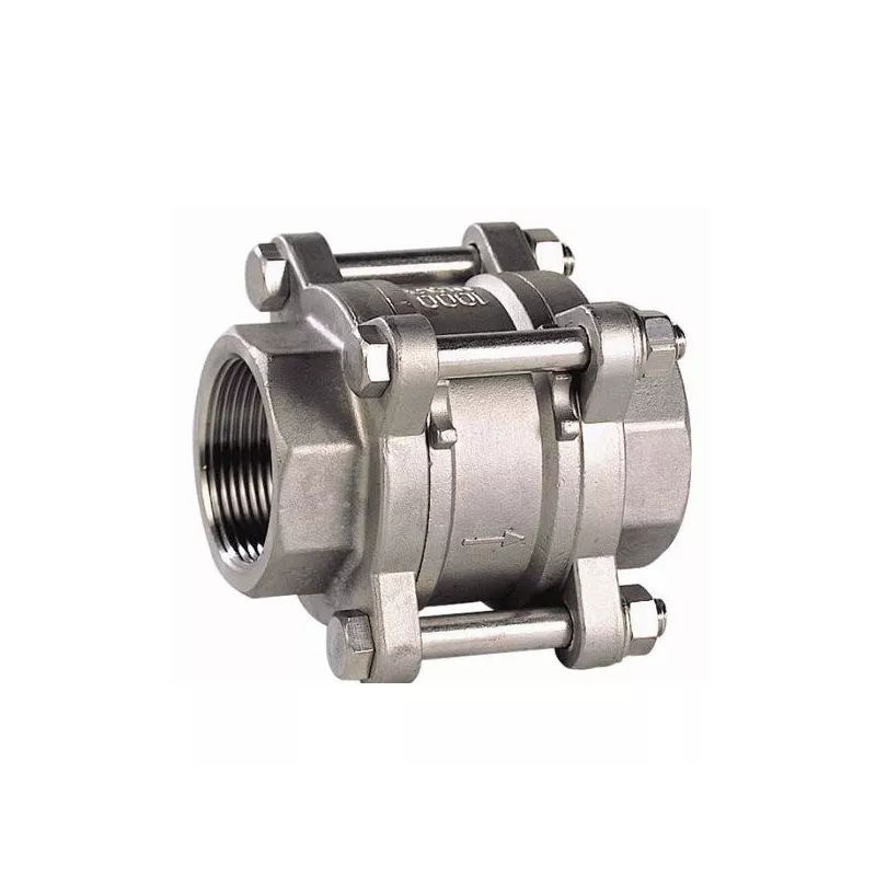 Female check valve BSP gas threaded - SOFRA INOX