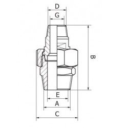 Male - Male Filetage GAZ (ISO 7/1)